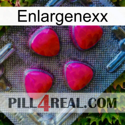 Enlargenexx